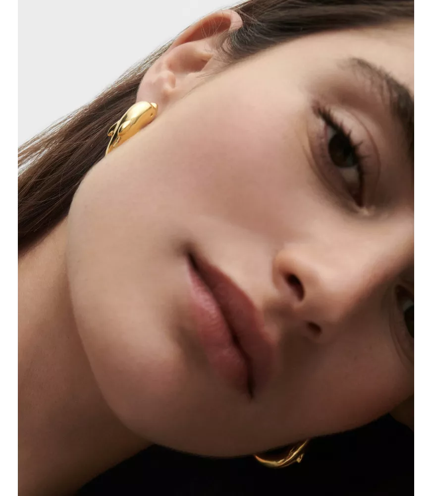 Pendientes aros Dolphin, P D Paola, colección Dolphin,