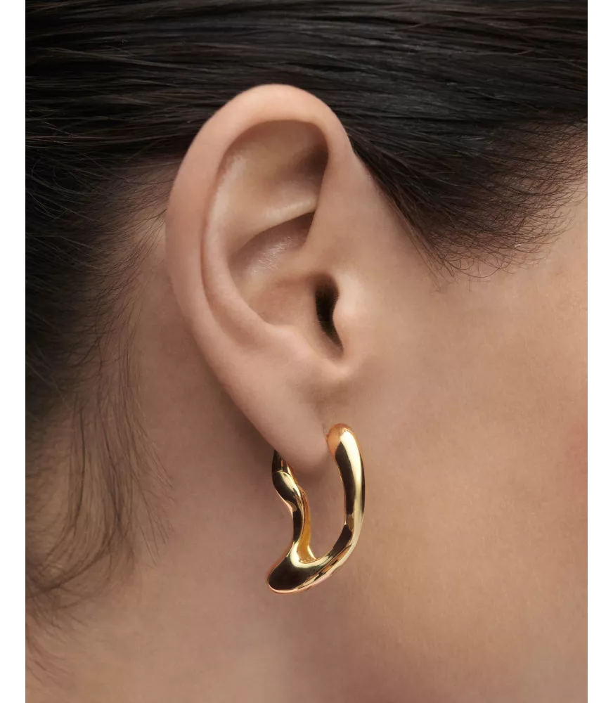 Pendientes aros Sense, P D Paola, colección Dolphin,