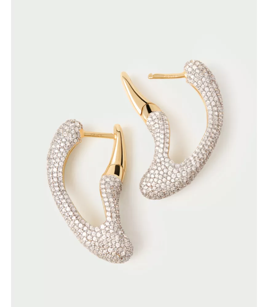 Pendientes aros Pavé Sense, P D Paola, colección Dolphin,