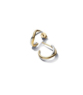 Pendientes en plata de ley...