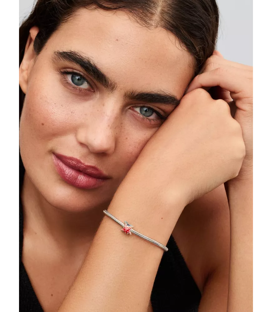 Charm en plata de ley MIni Estrella de Mar Colorida 