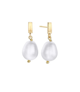 PENDIENTES COCO DE DURAN...