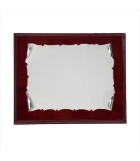 PLACA DE HOMEJAJE DE ALPACA 29 X 23