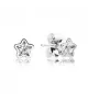 Pendientes brillo estelar
REF. 290597CZ