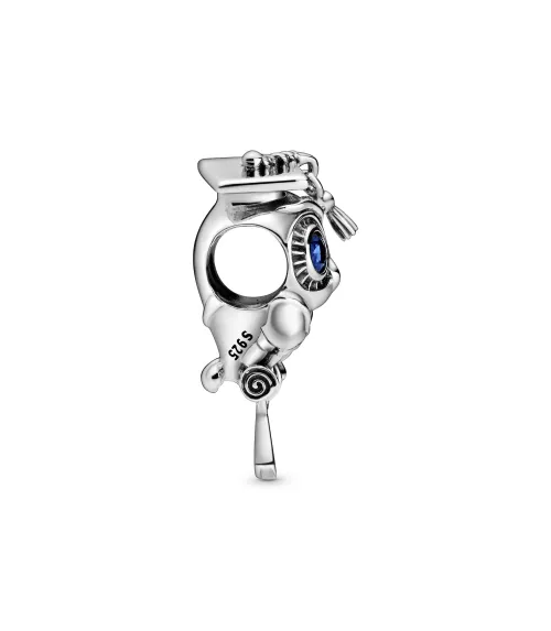 Charm en plata de ley Buho Sabio
REF. 798907C01