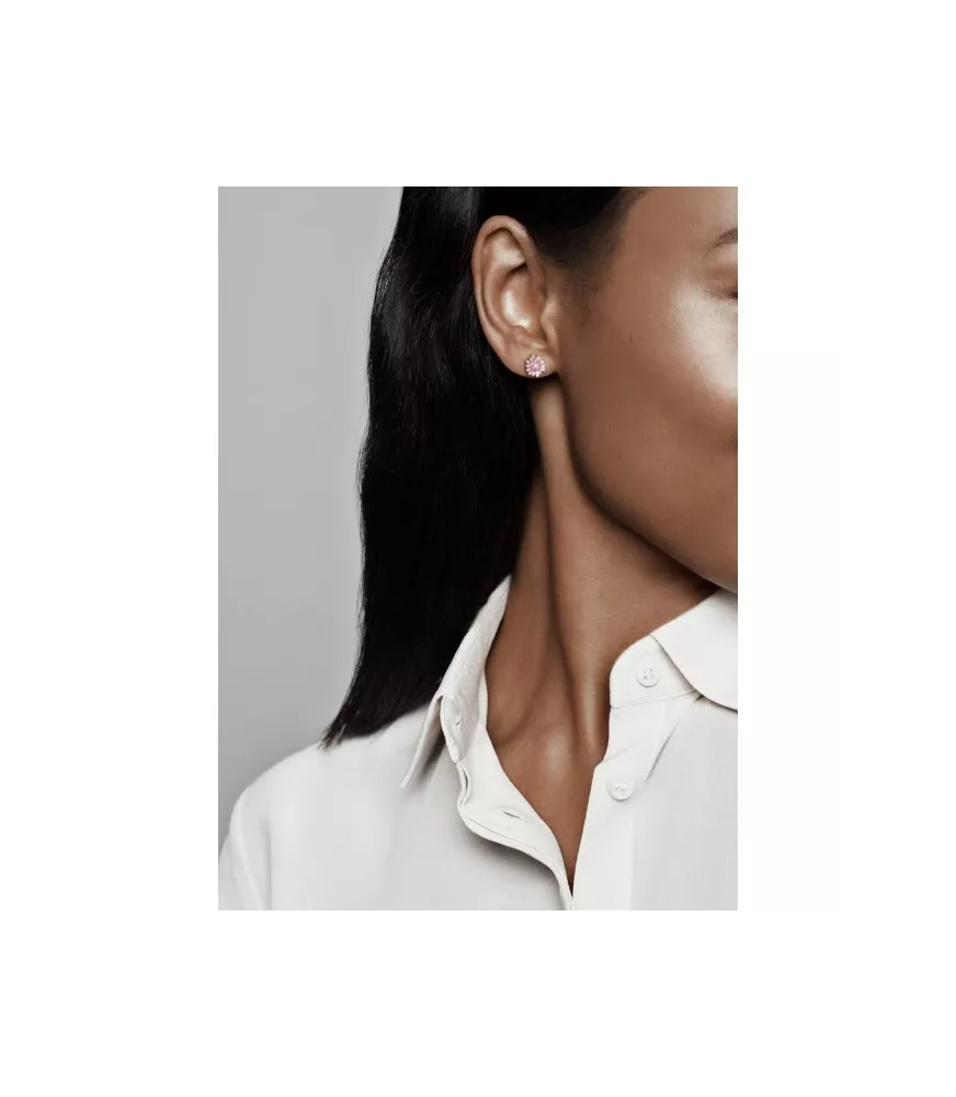 Pendientes de botón en PANDORA Rose Margaritas Rosas REF. 288773C01